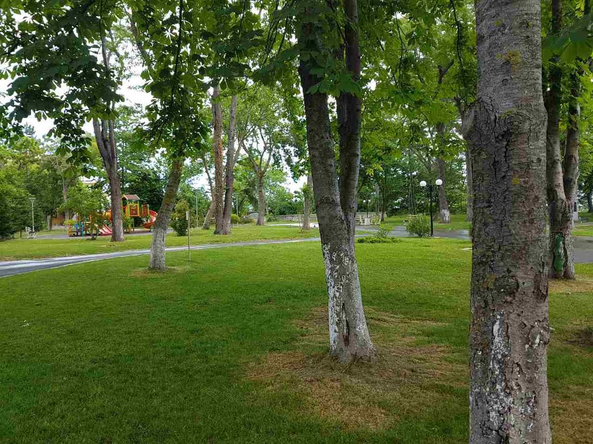 Villa Salena Primorsko Exterior foto